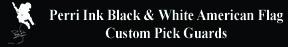 Perri Ink Black & White American Flag Custom Pick Guards 